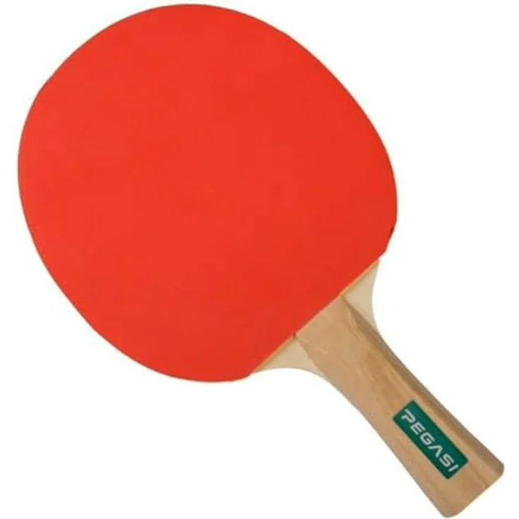 Pegasi Tischtennisschläger 2 Sterne Talentiert – Bild 6
