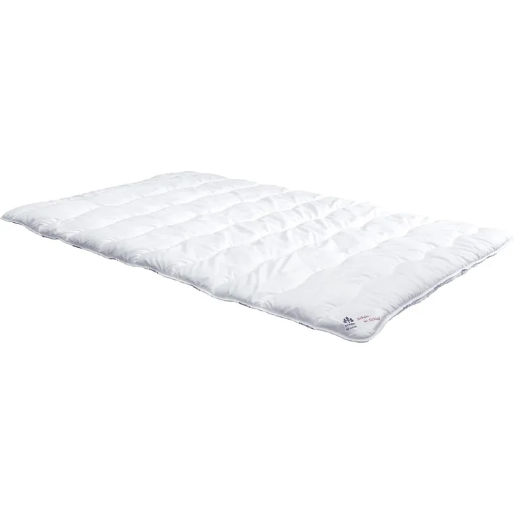 Irisette Badenia Bettcomfort Triberg Steppbett Leicht Sommerdecke, 200x200 cm