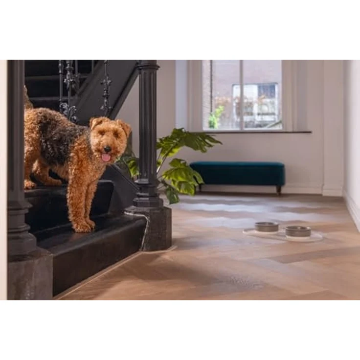 Designed By Lotte Napfunterlage Napfunterlage Oona beige aus Silikon – Bild 7