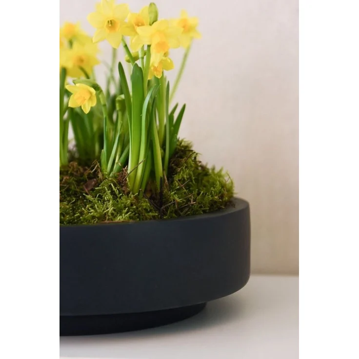 VIVANNO Pflanzschale Fiberglas ESCADA LOW Schale - Anthrazit Matt (1 St), 37x37x10 cm – Bild 3