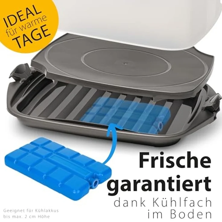 Hausfelder Kuchentransportbox Kuchen Transportbox quadratisch, 28,5 x 28,5 x 13,5 cm, Kunststoff, (Set, 1-tlg, 1 Box), Transportbox mit Deckel, spülmaschinenfest, BPA-frei – Bild 3