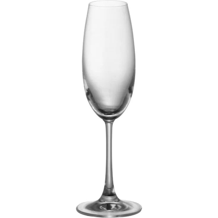 Thomas DiVino Champagnerglas, Sektglas, Proseccoglas, Spülmaschinenfest, 220 ml, 48071