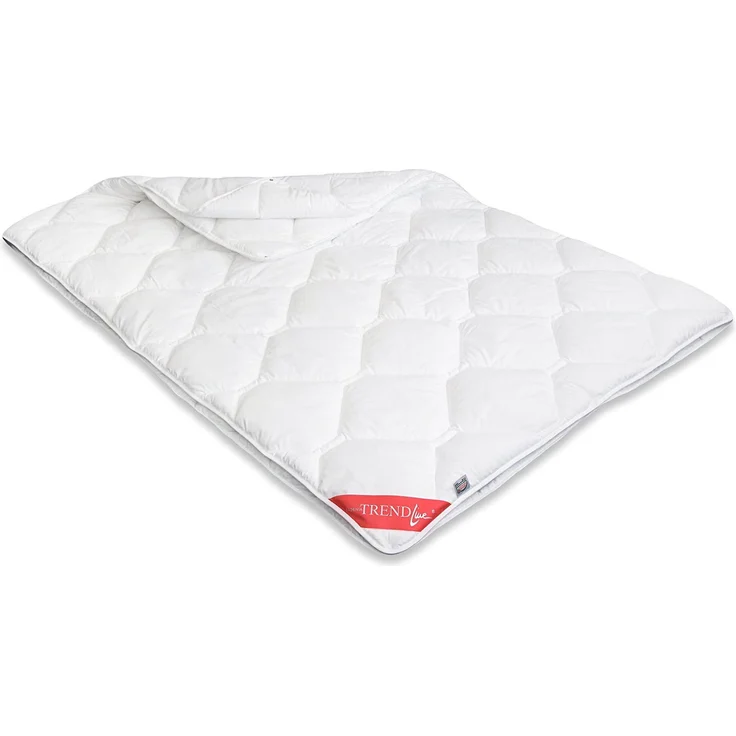 Badenia Trendline 4-Jahreszeiten-Steppbett Micro weiß 135 x 200 cm Bettdecke – Bild 1