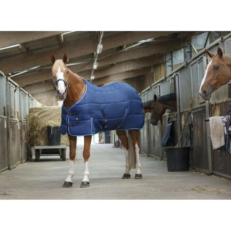 RIDING WORLD Stalldecke | marineblau | (206 cm)