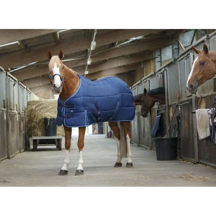 RIDING WORLD Stalldecke | marineblau | (206 cm)