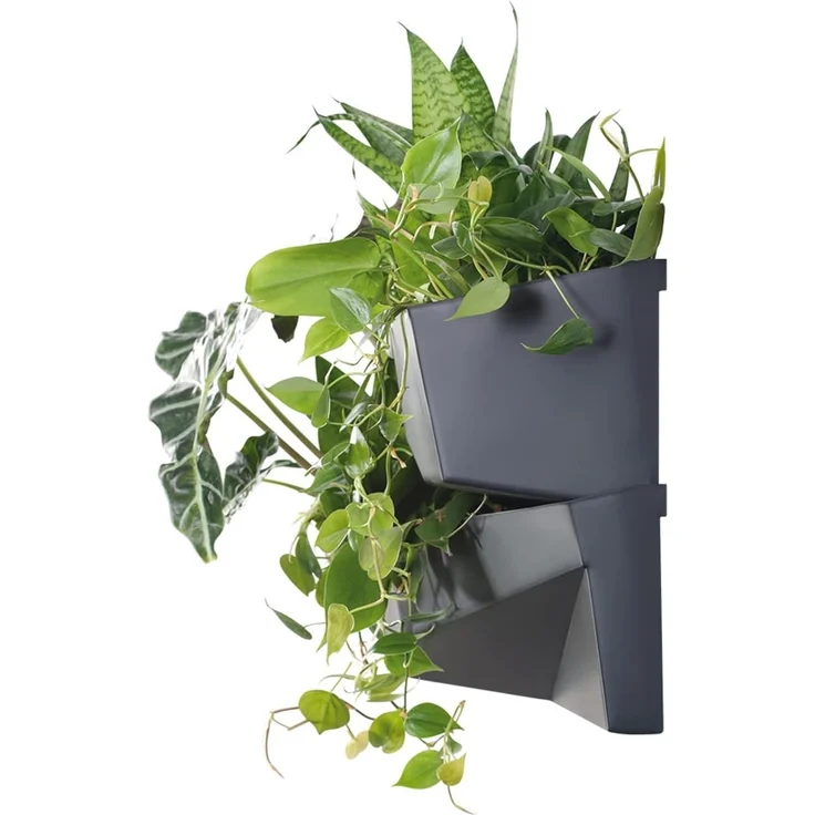 Prosperplast Blumenkasten IO3W800-S433 (2 St), Grüne Wand Blumenkasten Vertikales Gartensystem – Bild 6