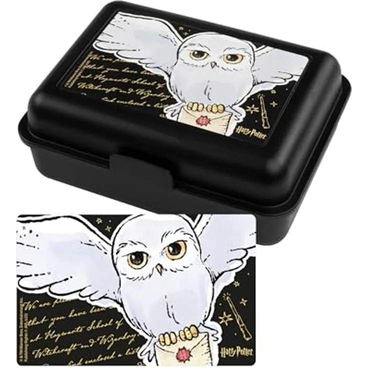 United Labels® Lunchbox Harry Potter Brotdose Hedwig Eule Lunchbox Butterbrotdose Trennwand, Kunststoff (PP)