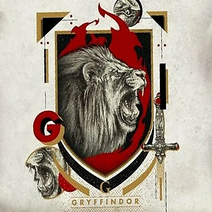 BERONAGE Kinderbettwäsche Harry Potter Houses Bettwäsche Linon / Renforcé 147 Bettbezug School, 100% Baumwolle, 2 teilig, 135x200 + 80x80 cm – Bild 4