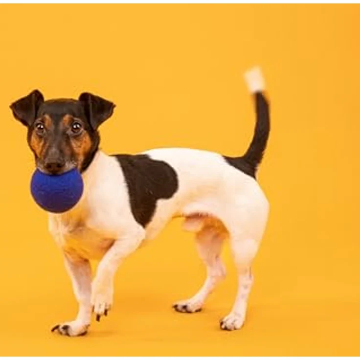 myfelt Tierball Filz Ball Set, reiner Schurwolle, Zweifarbiges Hundeball Set (2-tlg) 7 cm, handgefertigt, Unterstützt die Zahnpflege – Bild 5