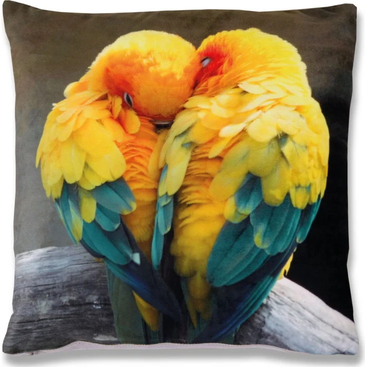 Bestlivings Dekokissen Fotodruck Motiv in 40x40 cm, Flauschig weiches Kissen in vielen Motiven erhältlich ( Design: Sittiche ) – Bild 2