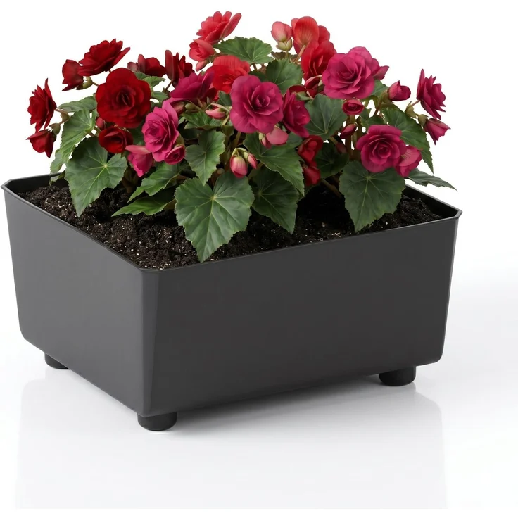 LAMELA Quadratischer Pflanzkasten mit eleganten Füßen – Schwarzer Blumenkübel aus robustem Kunststoff 28,5x28,5 cm, 7,5L – Wetterfest & Pflegeleicht - für Innen & Außen, Schwarz