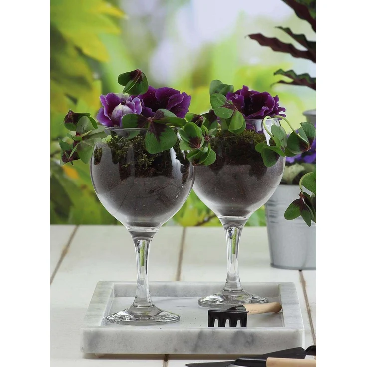 Hermia Concept 'LV-MIS549F' Weingläser-Set (6-teilig), Transparent, 6,5 x 6,5 x 14,7 cm, 210 ml – Bild 2