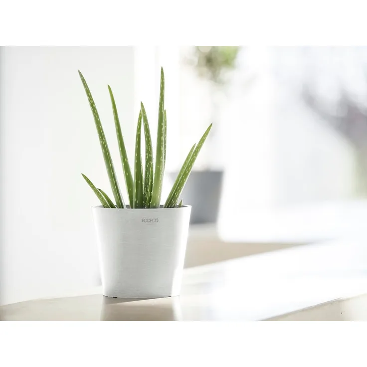 ECOPOTS Blumentopf Amsterdam Mini 17 Weiß, für den Innenbereich