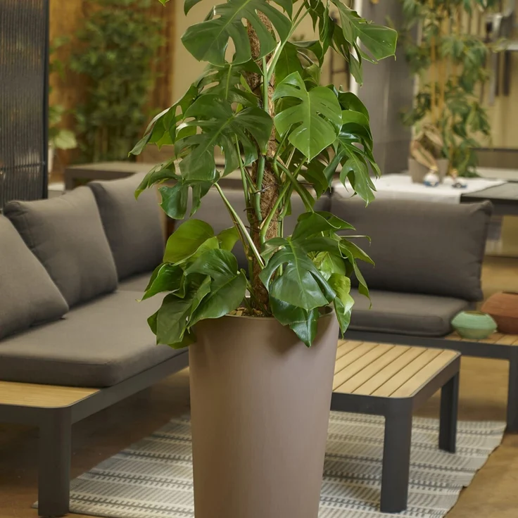Pflanztopf TUIT RAW 33cm – Bild 5