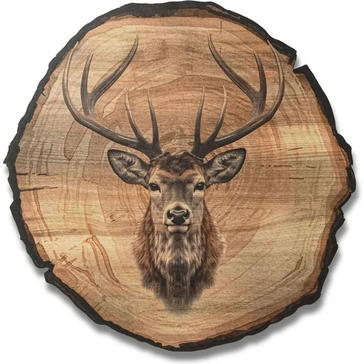 DARO Design Wandbild Wildtiere Jagd Wandbilder Wand Deko Bilder Natur, (Hirsch - Bild klein Wohnzimmer Flur Arbeitszimmer Schlafzimmer Diele Einteilig Rund Fotodruck Jagd & Wildtiere), 20cm – Bild 1