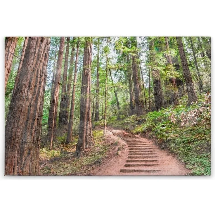 Leinwandbild Wald Pfad Grün Braun 90x60 DD120304 Keilrahmen Wandbild Leinwand – Bild 7