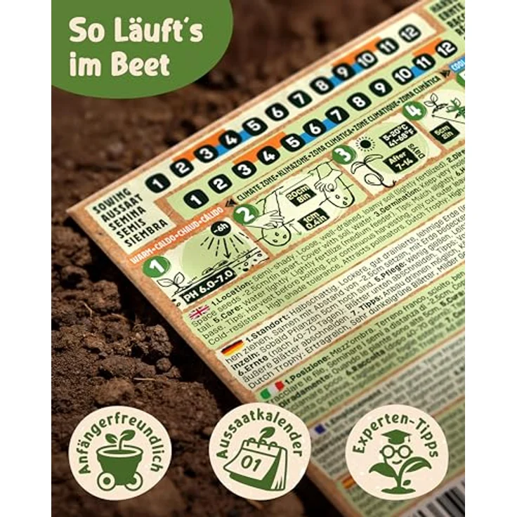 ZenGreens® - Bio Salatgemüsesamen im 20er Set - 20 Salat Gemüse Samen für den einfachen Anbau im Garten, Balkon oder Hochbeet - Pflanzensamen - Saatgut – Bild 9