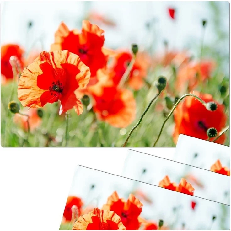matches21 HOME & HOBBY Platzset Abwaschbare Tischsets 4er Set Sommer Mohn-Blumen, (4-St), Platzsets als Tisch-Untersetzer und Tisch-Deko für Esstisch Teller – Bild 3
