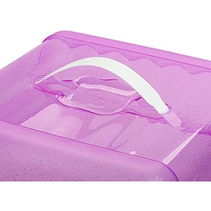 Engelland Kuchentransportbox Kleine Kuchenbox mit transparentem Deckel, Kunststoff, (Vorteils-Set, 2-tlg, sicheres Transportieren), mit Tragegriff und Klickverschluss, BPA-frei, rechteckig, Kunststoff – Bild 8