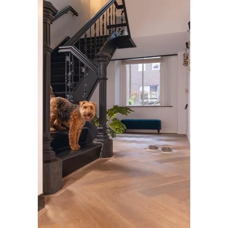 Designed By Lotte Napfunterlage Napfunterlage Oona beige aus Silikon – Bild 6
