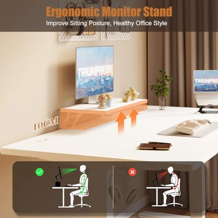 TRIUMPHKEY Höhenverstellbarer Schreibtisch mit Monitorständer 120x60 cm, Elektrisch Steh-Sitz Tisch, Computer-Schreibtisch, Standing Height Adjustable Desk,Weiß – Bild 7