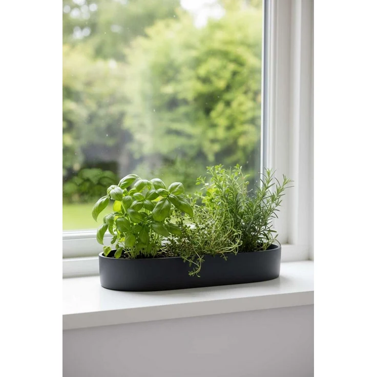 VIVANNO Pflanzschale Fiberglas SOLENA Schale - Anthrazit Matt (1 St), 35x20x5 cm – Bild 1
