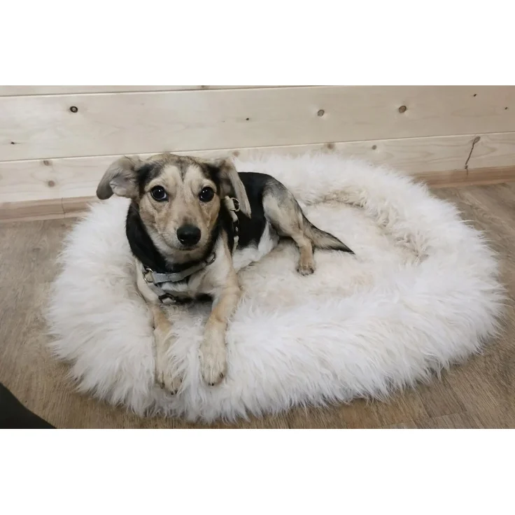Provellus Tierbett aus Schaffell, Weiß, L (75x50 cm) – Bild 10