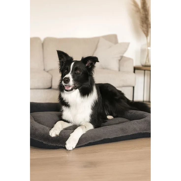 Paws & Whiskers 'Sally Dog M - Anthracite' Haustierbett, Anthrazit, 70 x 52 x 10 cm