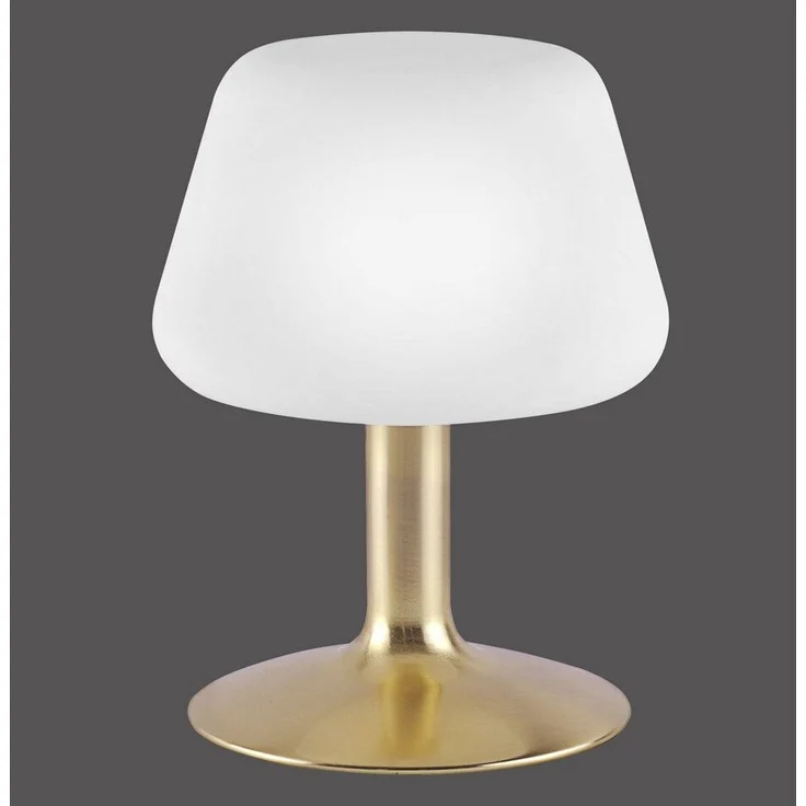 TILL Paul Neuhaus Tischleuchte, messing matt 1xG9 3W 3000K Innenleuchte, IP20 13619 – Bild 1