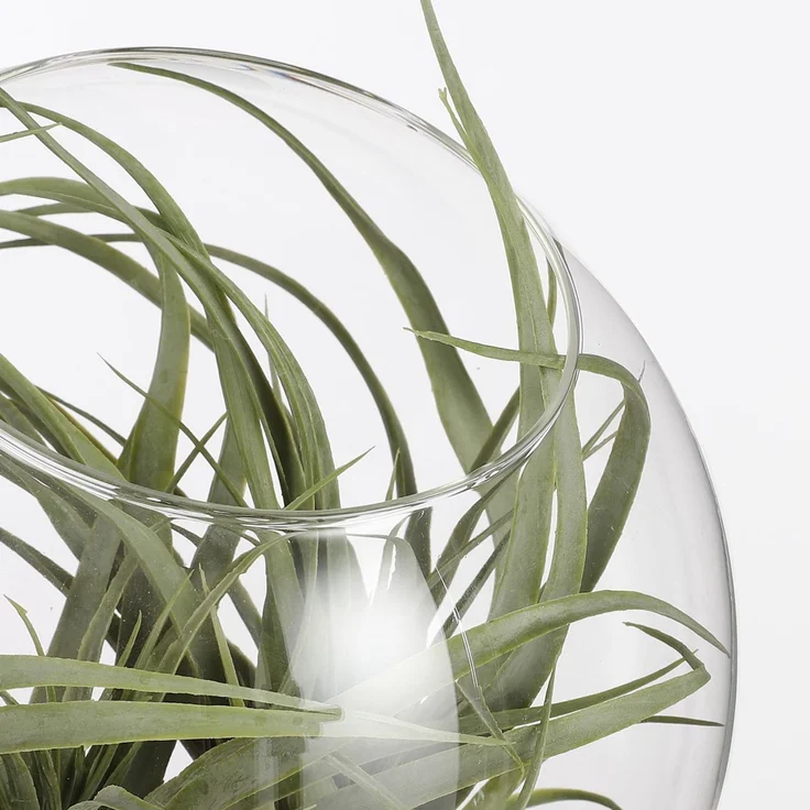 Mica Vase Jillian transparent transparent, 19 x 18 cm – Bild 5