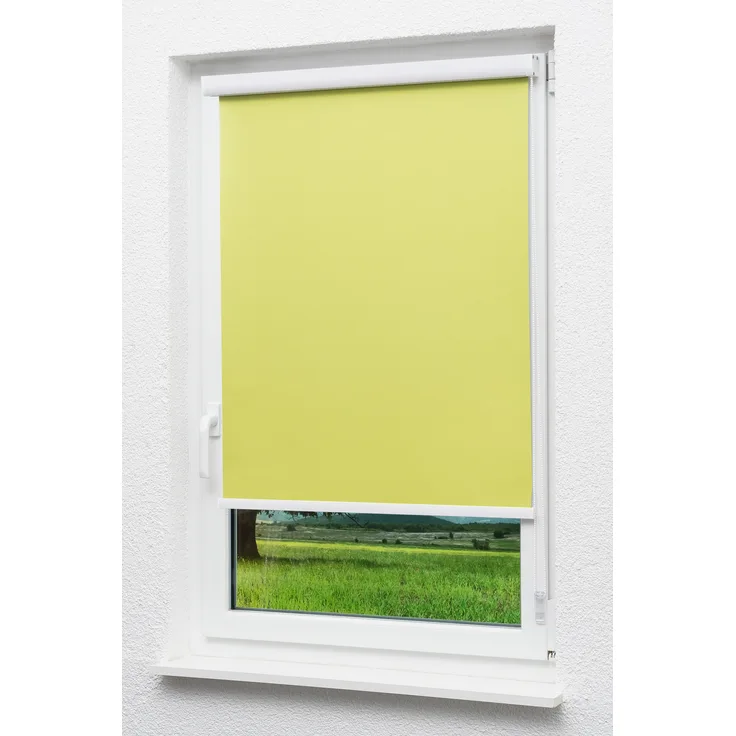 Lysel Outlet - Kassettenrollo abdunkelnd Apfelgrün, (B x H) 70cm x 175cm in grün/apfelgrün