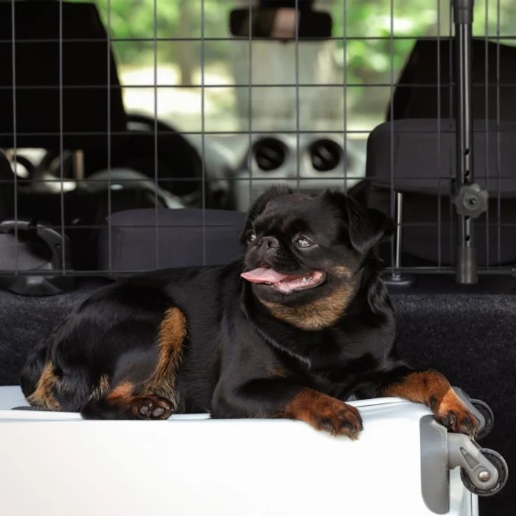 Hundegitter Auto Universal – Bild 3