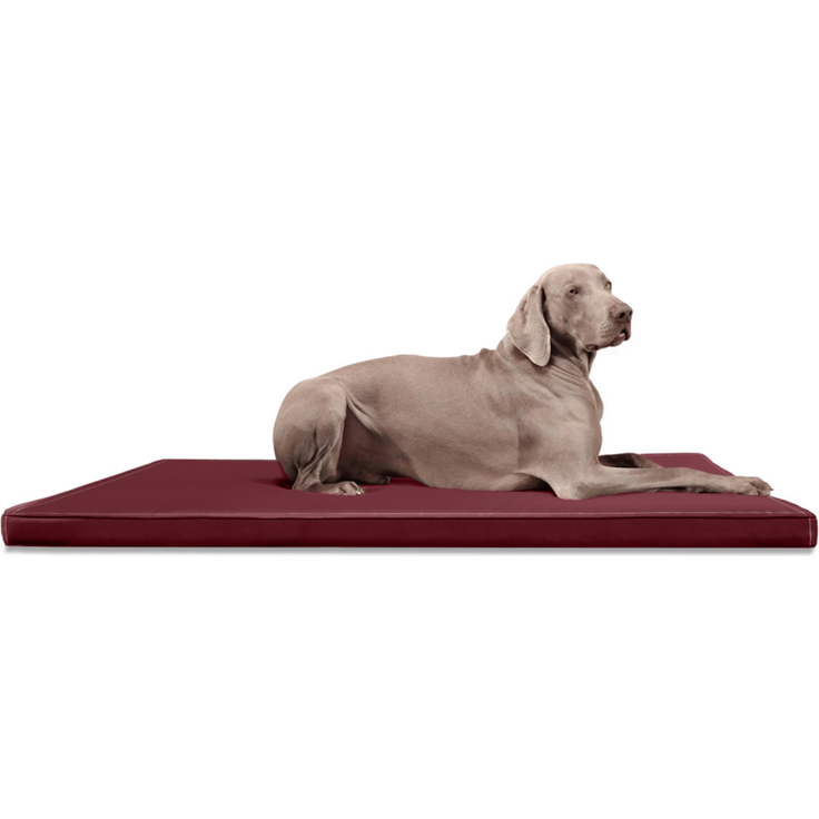 CARLOS Orthopädische Hundematratze Hundematte - 04 Dunkelrot, 100x80cm – Bild 2