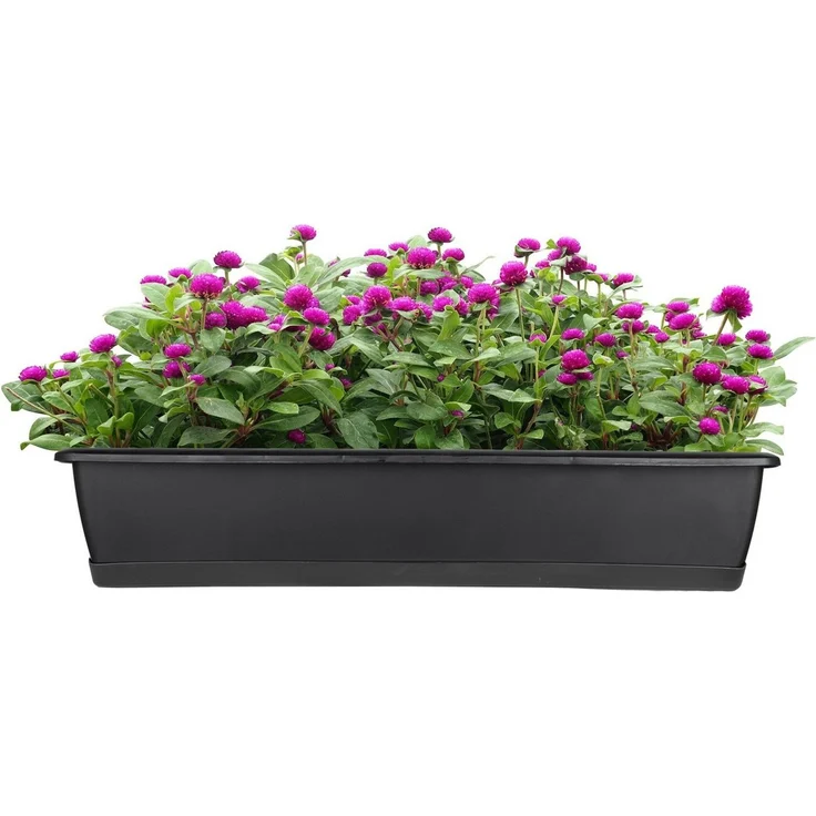 BigDean 2er Set Blumenkasten mit Untersetzer 60 cm lang anthrazit - aus PP-Kunststoff - Balkon Pflanzkasten schmal Balkonkasten – Bild 2