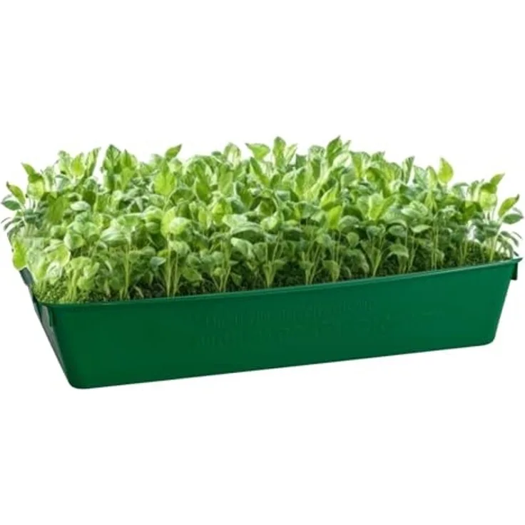 Gärtnerbox Pflanzschale Pikierschale Grün 58x32x11cm Pflanzwanne Blumenkasten Anzuchtwanne eckig Saatschale - robust, wetterfest, frostfest