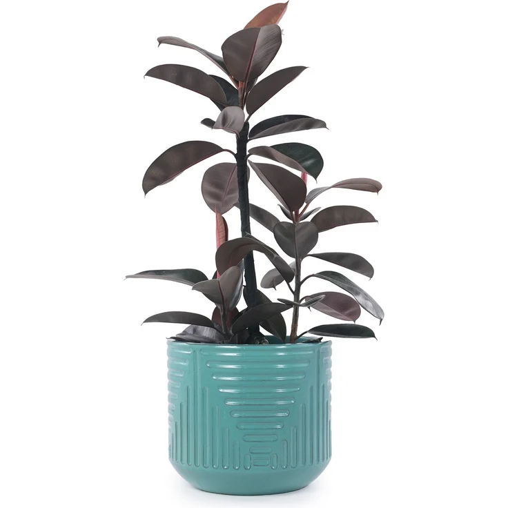 Wohnora-Großer Keramik Blumentopf Ø 42 cm, handglasiert mit türkisfarbengrüner Hochglanzoberfläche und geometrischem Rillenmuster, atmungsaktiv & frostsicher, mit Ablaufloch für Palmen und Gummibäume,H 365cm x T 42cm x B 42cm,Cyan – Bild 4