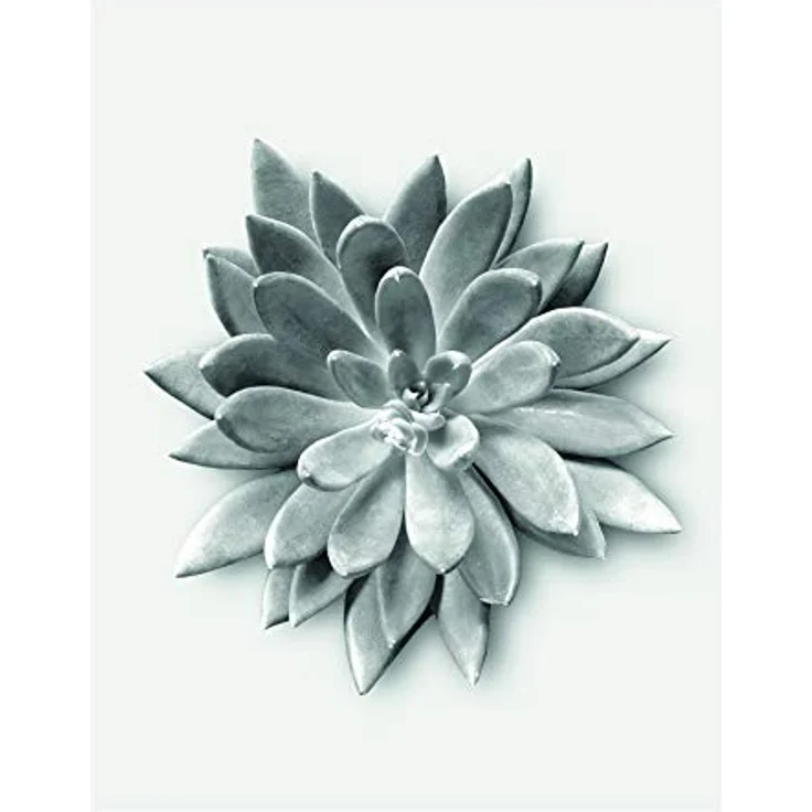 Komar Wandbild Succulent Agave, Kunstdruck ohne Rahmen, 40 x 50 cm, hochwertiger Druck auf fotorealistischem Premium-Papier, MADE IN GERMANY – Bild 1