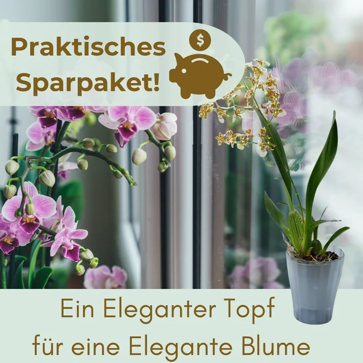 GarPet Blumentopf 4er Set Orchideentopf Transparent Orchideen Über Innen 16 rauchfarbig – Bild 6