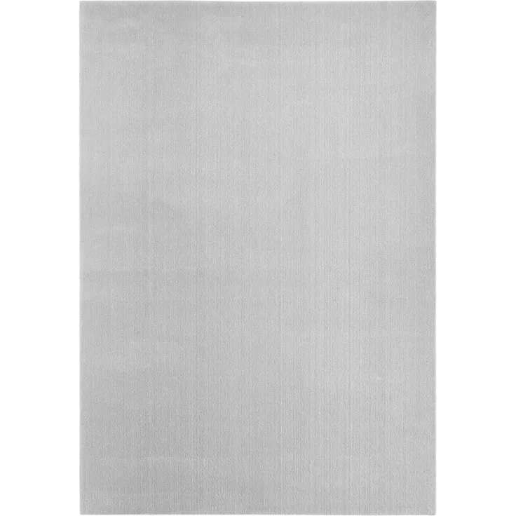 Flachwebteppich Bartolo 120 x 170 cm grau