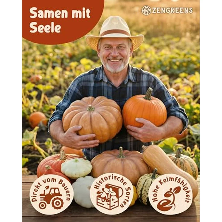 ZenGreens® - Bio Kürbissamen im 6er Set - 6 Kürbis Samen für den einfachen Anbau im Garten, Balkon oder Hochbeet - Pflanzensamen - Saatgut – Bild 2