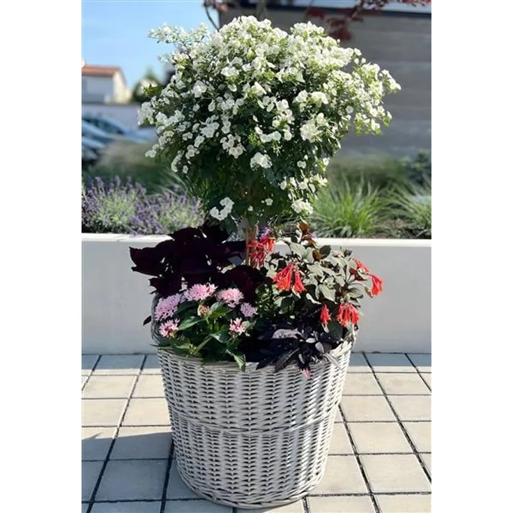Rattan Pflanzkorb "Rustikal" rund Ø 60x45 cm groß, grau, Outdoor Blumentopf, Pflanzkübel, Pflanztopf für Draußen, Blumenkübel