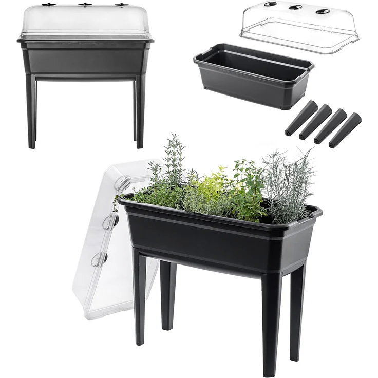 KADAX großes Mini-Gewächshaus, Mini-Gewächshaus, Heimgewächshaus, Setzlinge, 75 cm, 42 l – Bild 1