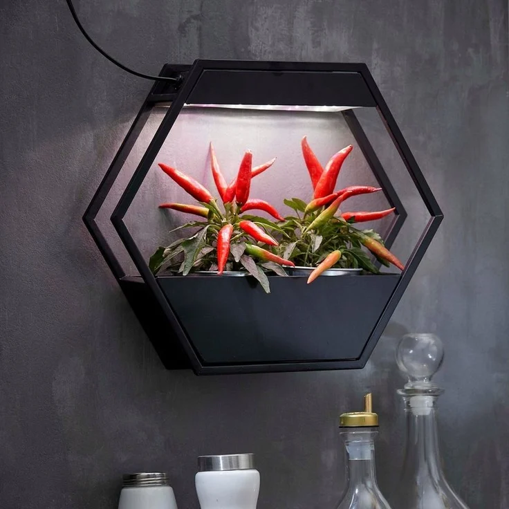 Northpoint Pflanzenlampe LED Pflanzenlampe Pflanzenleuchte Gewächslampe Metallgestell 12W – Bild 2