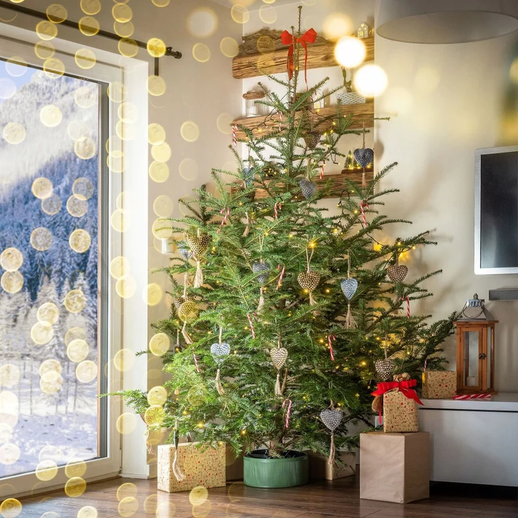 KADAX Weihnachtsbaumständer Christbaumständer 1,5 m – Bild 3