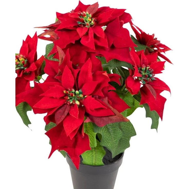 Kunstblume Weihnachtsstern Nature samt-rot im Topf PM Kunstblumen künstliche Poinsettie Blume, Seidenblumen Roß, Höhe 36 cm, mit 6 Blüten – Bild 3