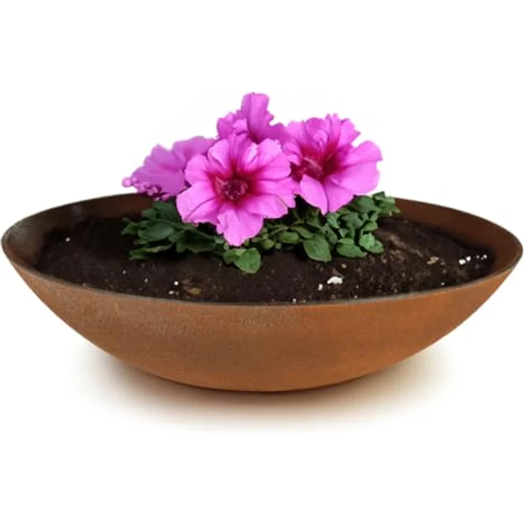 matches21 HOME & HOBBY Blumentopf Pflanzschale für draussen Dekoschale rund Rost-Optik 35 cm (1 St), Blumen-Schale als wetterfeste Friedhof-Schale Grab-Schmuck Grabschale – Bild 2