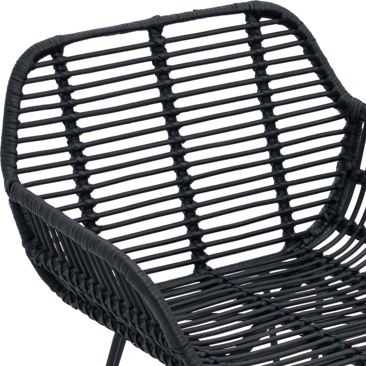 vidaXL Esszimmerstuhl 2 pcs Schwarz 55 x 50 x 74 cm Rattan und Eisen 42011557 – Bild 7