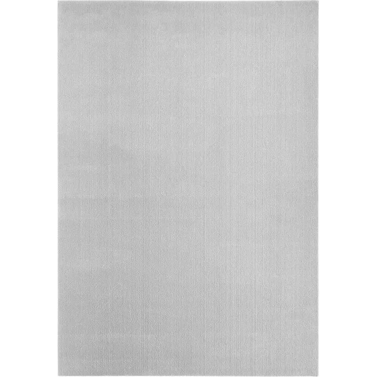 Flachwebteppich Bartolo 160 x 230 cm grau