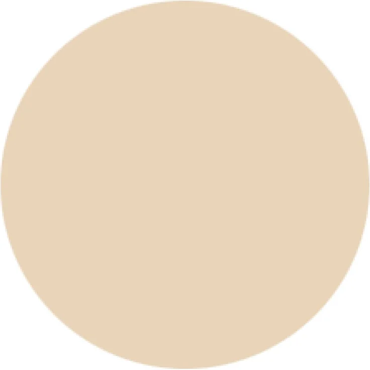 Transparenter Flächenvorhang Voile 60x245 cm wahlweise mit und ohne Technik, schlichte und stilvolle Fensterdekoration in vielen verschiedenen Farben erhältlich (beige - nude / ohne Technik) – Bild 5