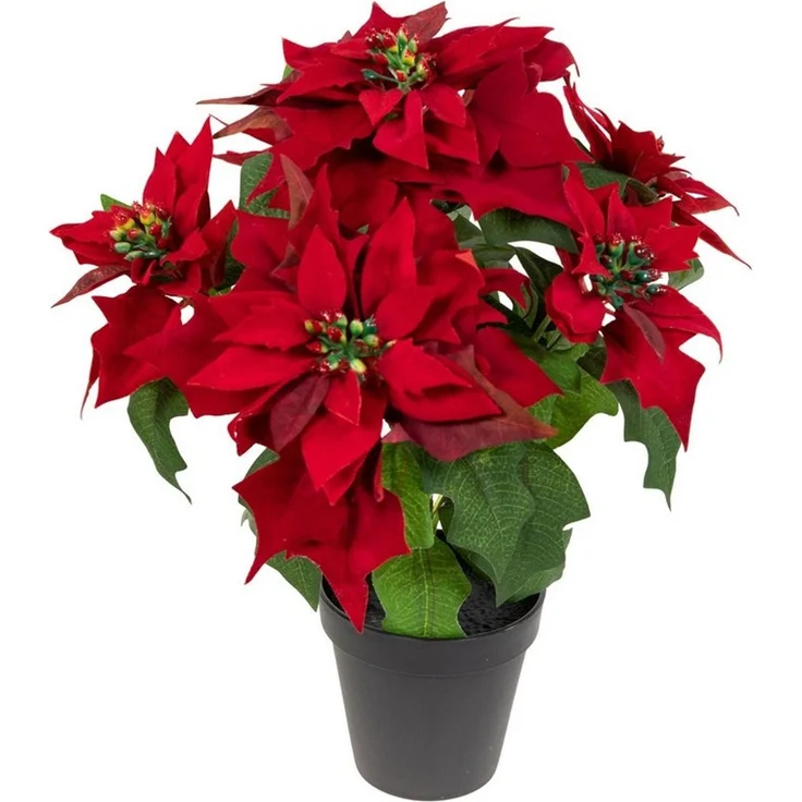 Kunstblume Weihnachtsstern Nature samt-rot im Topf PM Kunstblumen künstliche Poinsettie Blume, Seidenblumen Roß, Höhe 36 cm, mit 6 Blüten – Bild 1